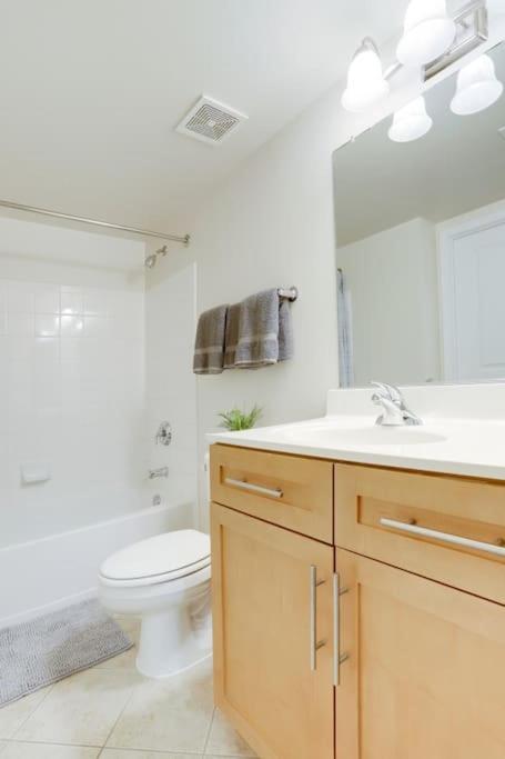 Condo With Gym And Pool In Pentagon City 8Min To Dca Arlington Ngoại thất bức ảnh